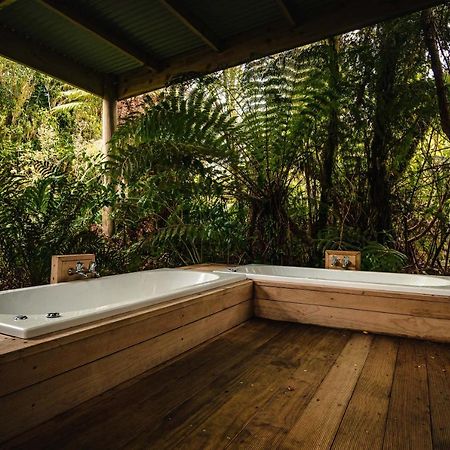 Franz Josef Treetops エクステリア 写真