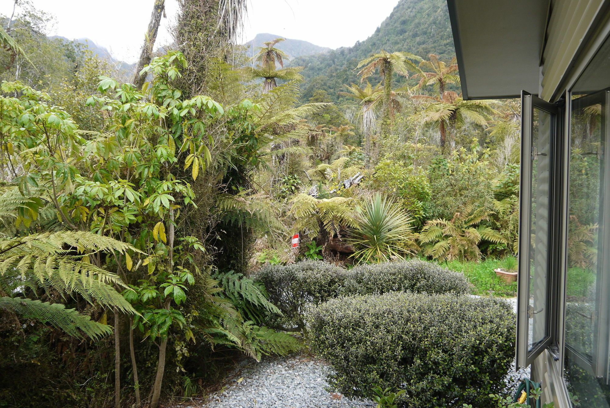 Franz Josef Treetops エクステリア 写真